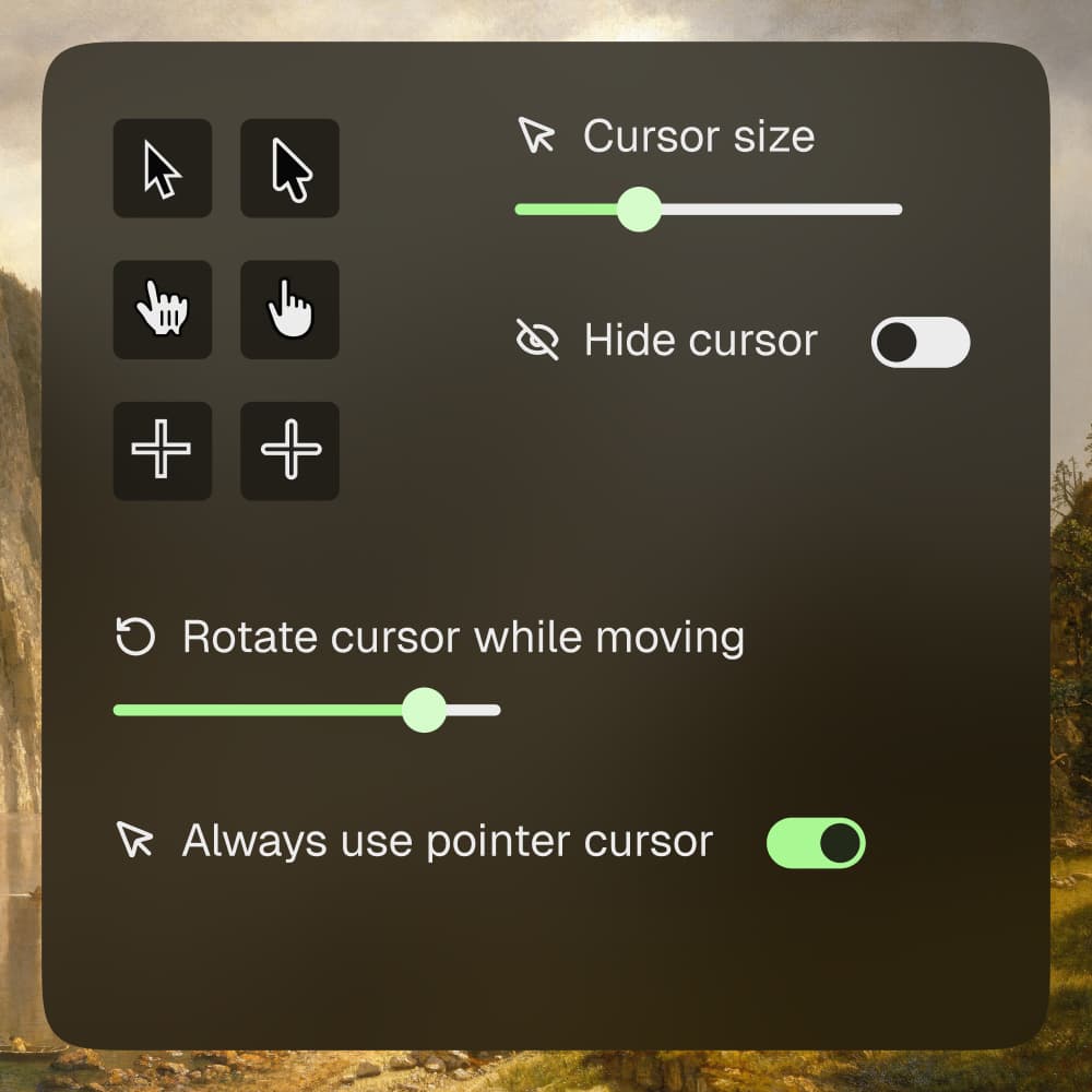 Cursor Settings